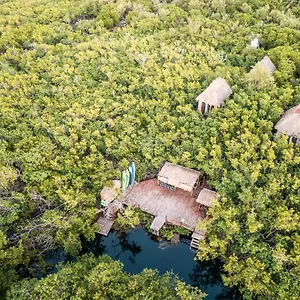 https://manglex-cenote-eco-hotel.quintano-roohotels.com